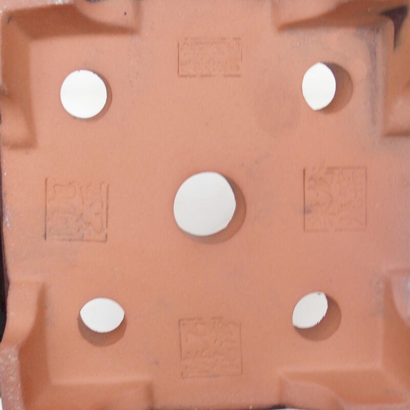 Ciotola per bonsai 20,5 x 20,5 x 15 cm, colore marrone