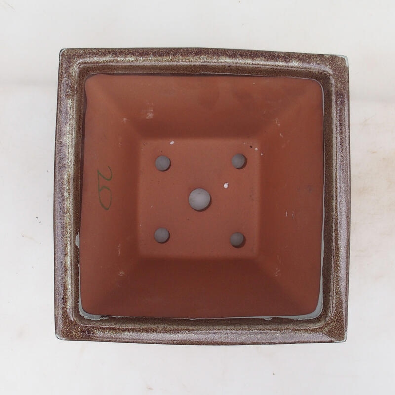 Ciotola per bonsai 20,5 x 20,5 x 15 cm, colore marrone