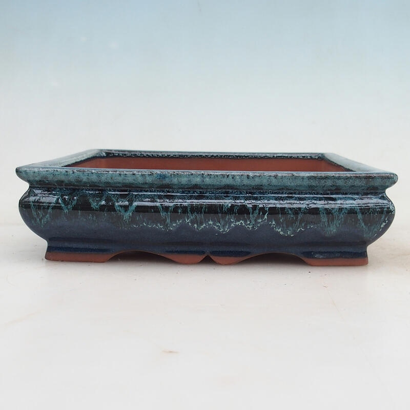 Ciotola per bonsai 20,5 x 20,5 x 5,5 cm, colore blu