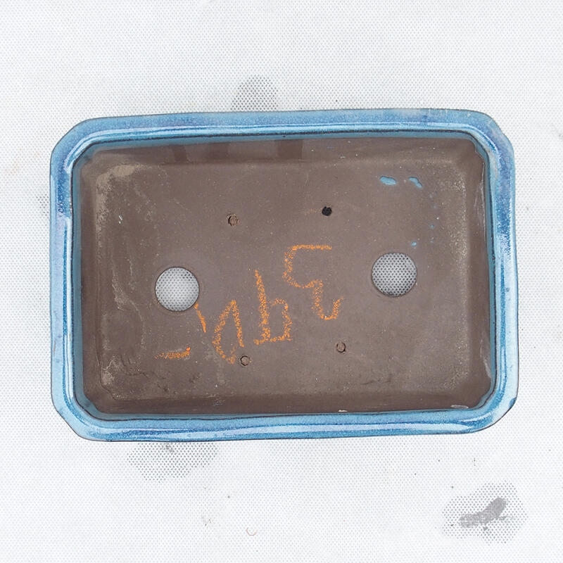 Ciotola bonsai 20 x 14 x 6,5 cm, colore blu