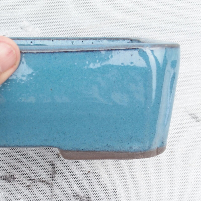 Ciotola bonsai 20 x 14 x 6,5 cm, colore blu