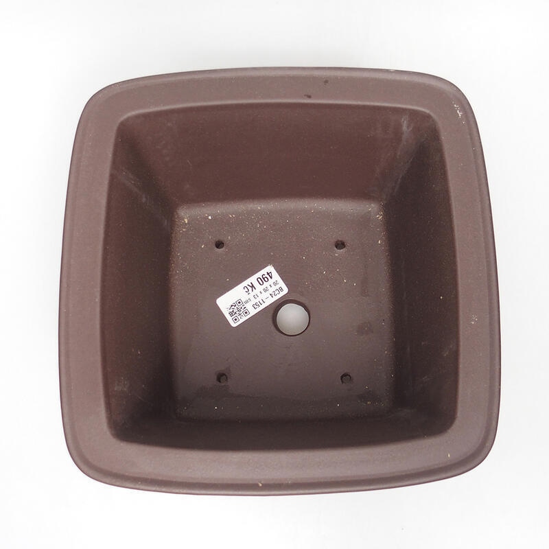Ciotola per bonsai 20 x 20 x 12,5 cm, marrone
