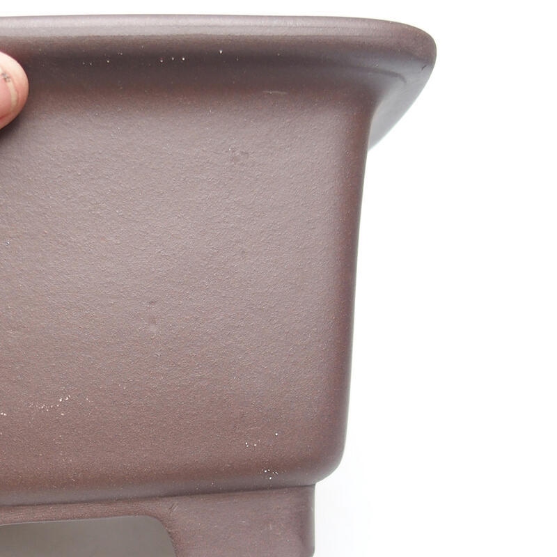 Ciotola per bonsai 20 x 20 x 12,5 cm, marrone