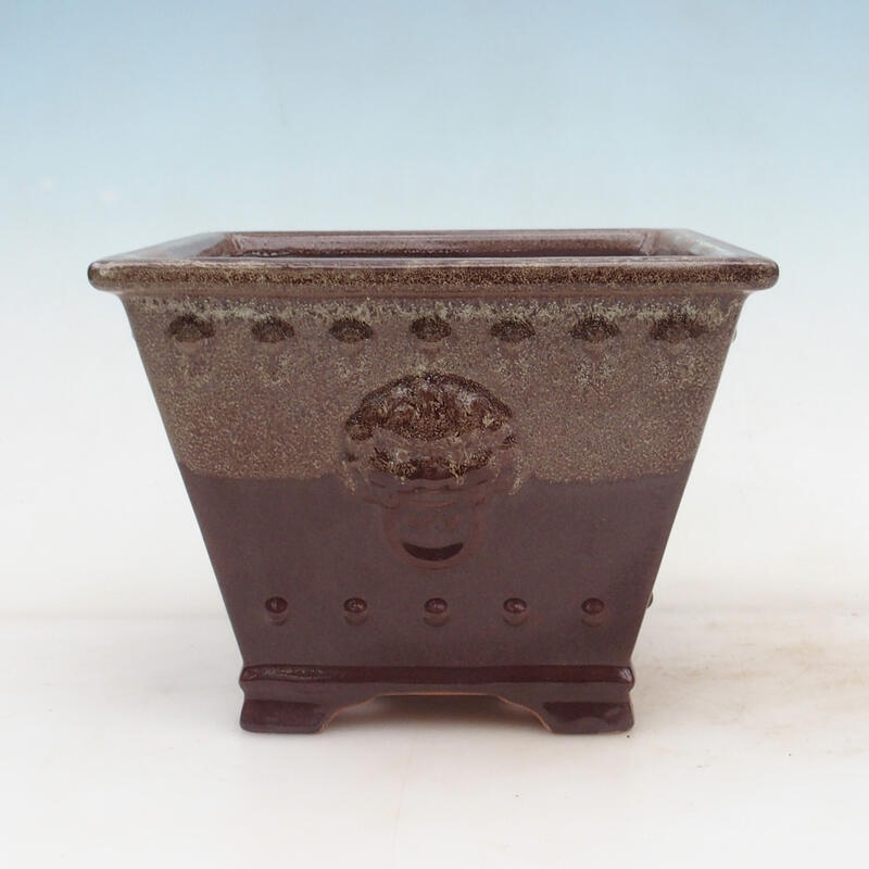 Ciotola per bonsai 20 x 20 x 15,5 cm, marrone