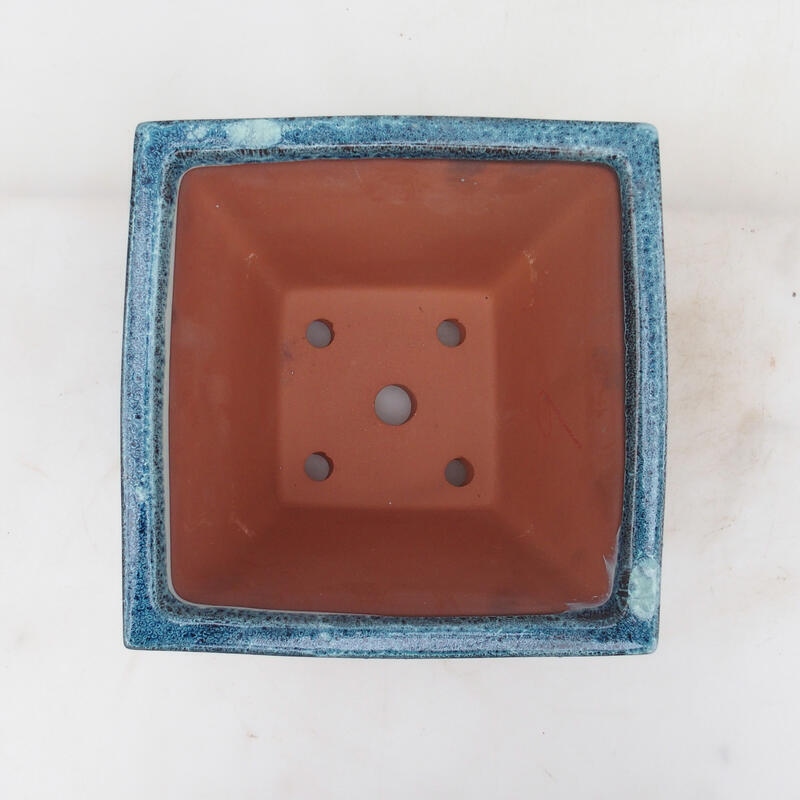 Ciotola per bonsai 20 x 20 x 15,5 cm, colore blu