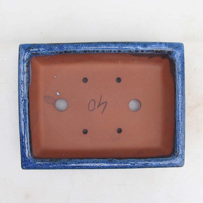 Ciotola per bonsai 21,5 x 16 x 5 cm, colore blu