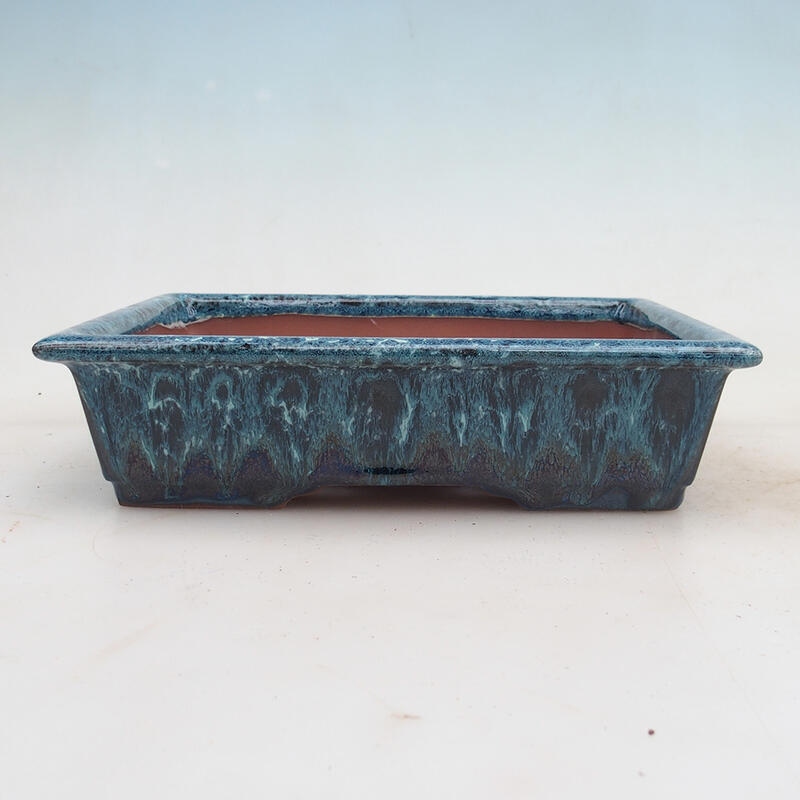 Ciotola bonsai 21,5 x 16 x 5 cm, colore blu-bianco