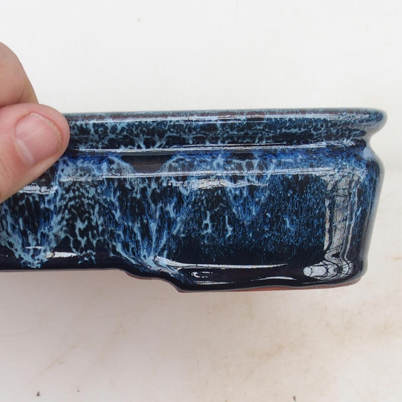 Ciotola bonsai 21,5 x 17 x 5,5 cm, colore blu-bianco
