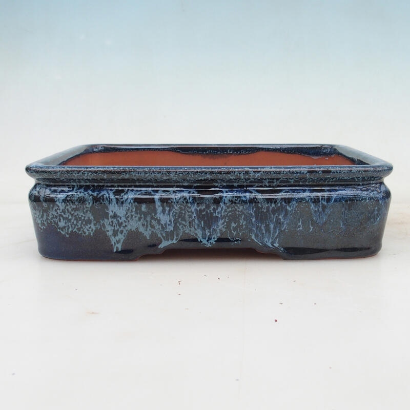 Ciotola bonsai 21,5 x 17 x 5,5 cm, colore blu-bianco