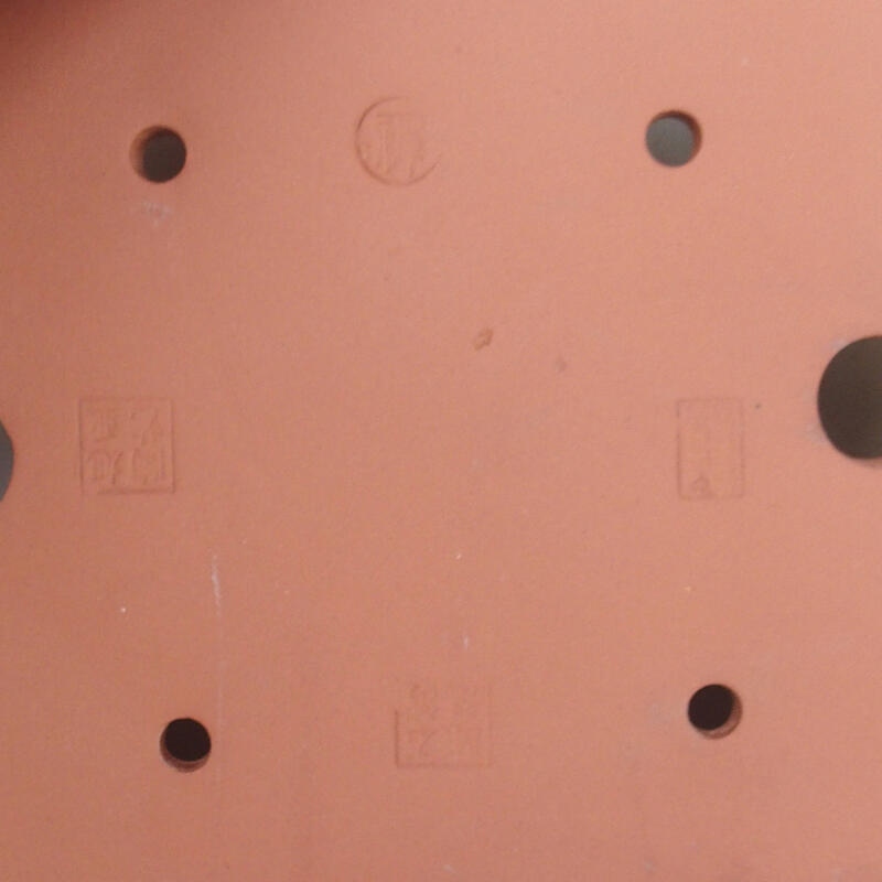 Ciotola per bonsai 21,5 x 17 x 5,5 cm, verde