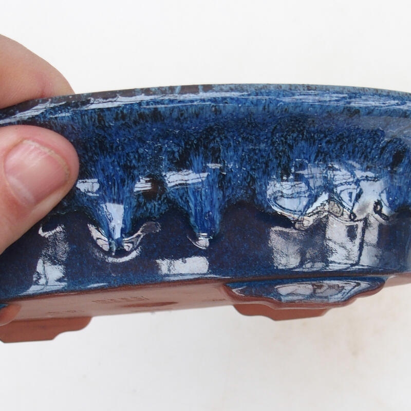 Ciotola bonsai 21 x 14 x 5 cm, colore blu