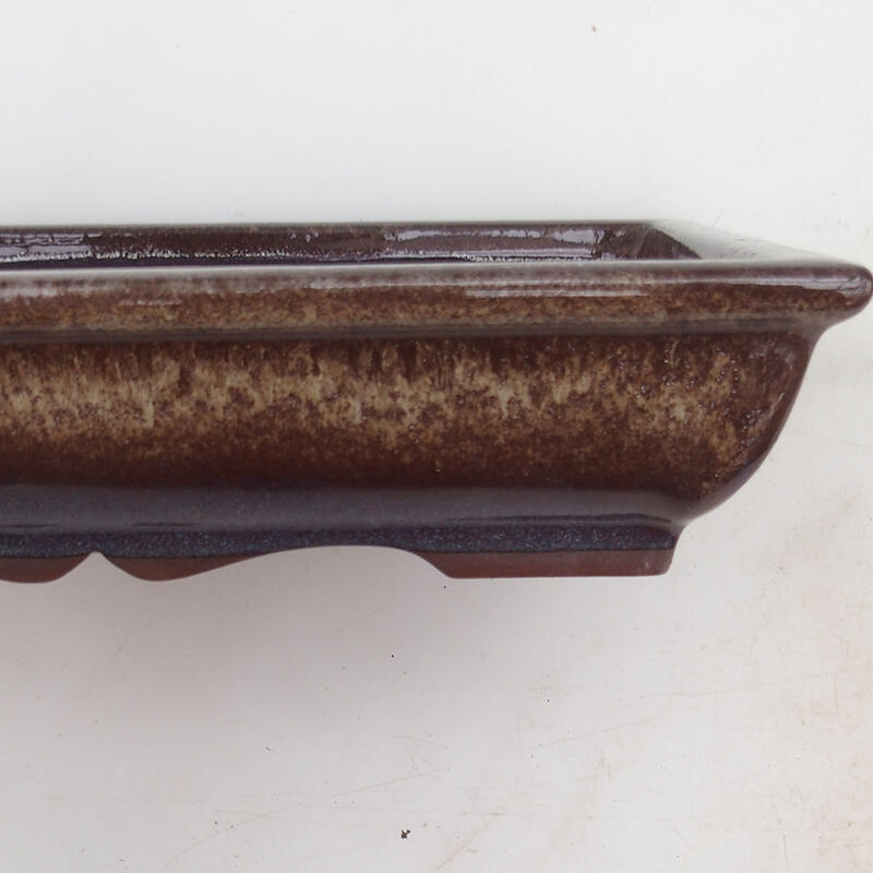 Ciotola per bonsai 21 x 16,5 x 4,5 cm, marrone