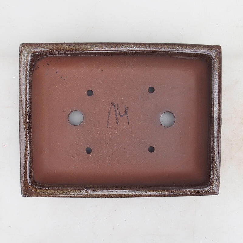 Ciotola per bonsai 21 x 16,5 x 4,5 cm, marrone