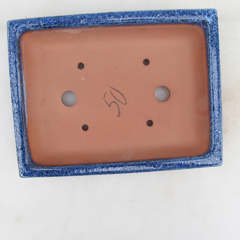 Ciotola bonsai 21 x 16,5 x 4,5 cm, colore blu