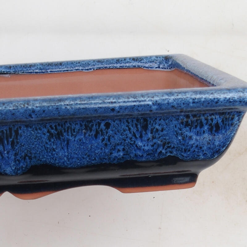 Ciotola bonsai 21 x 16,5 x 4,5 cm, colore blu