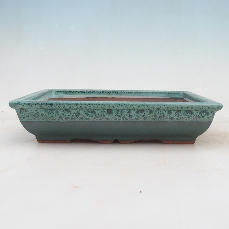 Ciotola bonsai 21 x 16,5 x 4,5 cm, verde