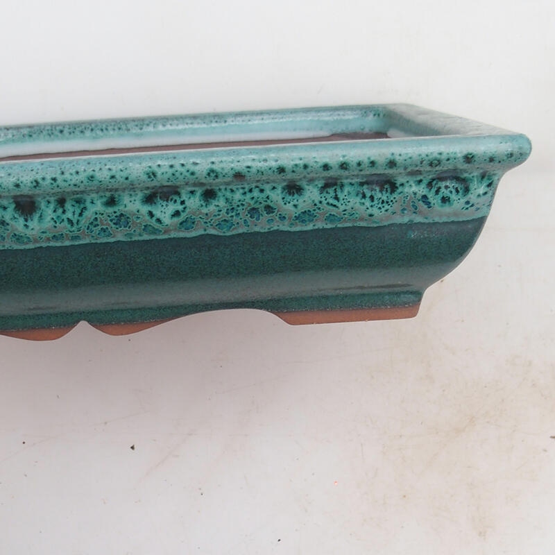 Ciotola bonsai 21 x 16,5 x 4,5 cm, verde