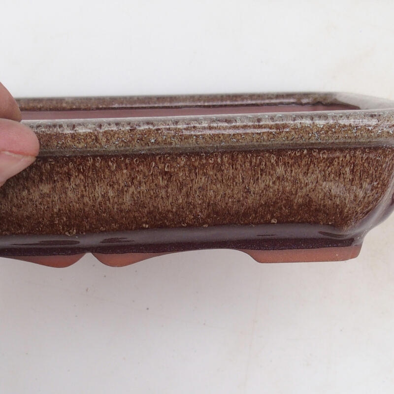 Ciotola per bonsai 21 x 16 x 4,5 cm, marrone