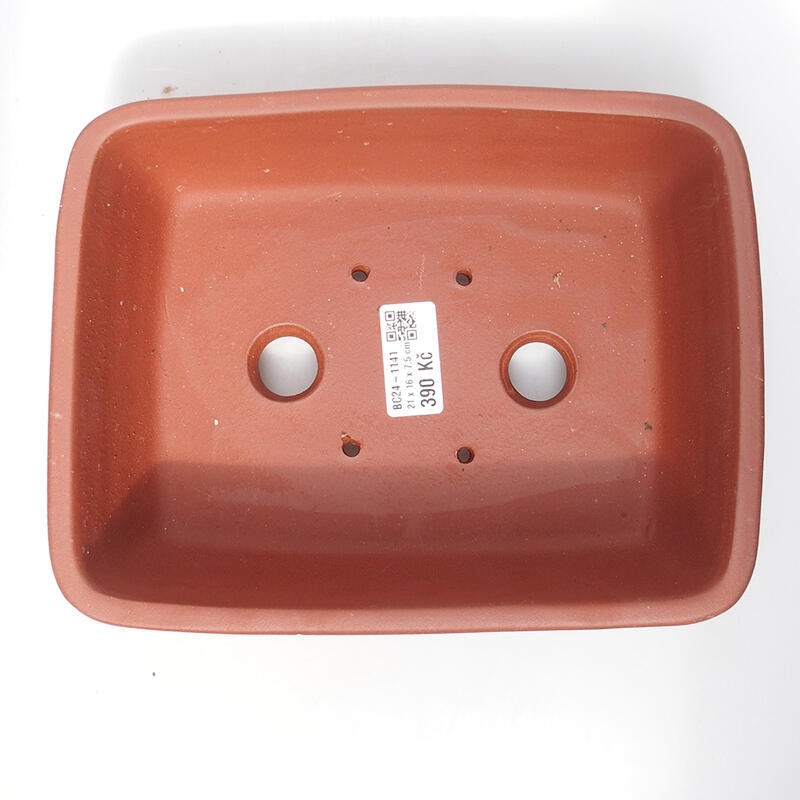 Ciotola bonsai 21 x 16 x 7,5 cm, colore mattone