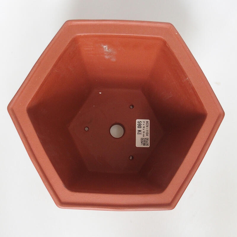 Ciotola bonsai 21 x 18 x 16 cm, colore mattone