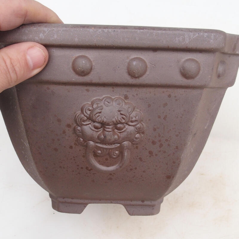 Ciotola bonsai 21 x 21 x 15,5 cm, colore naturale