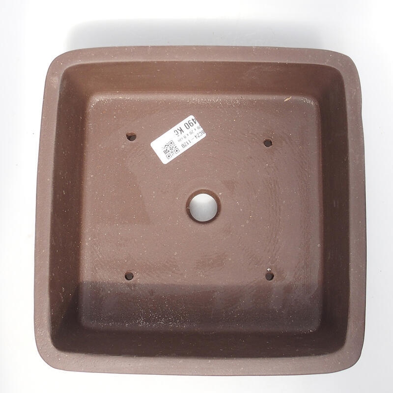 Ciotola per bonsai 21 x 21 x 7,5 cm, marrone