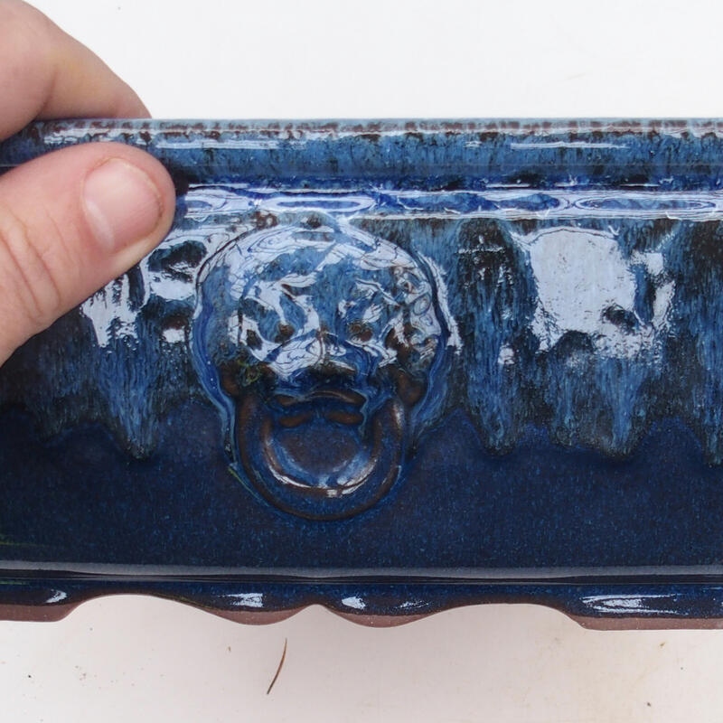 Ciotola bonsai 21 x 21 x 9 cm, colore blu