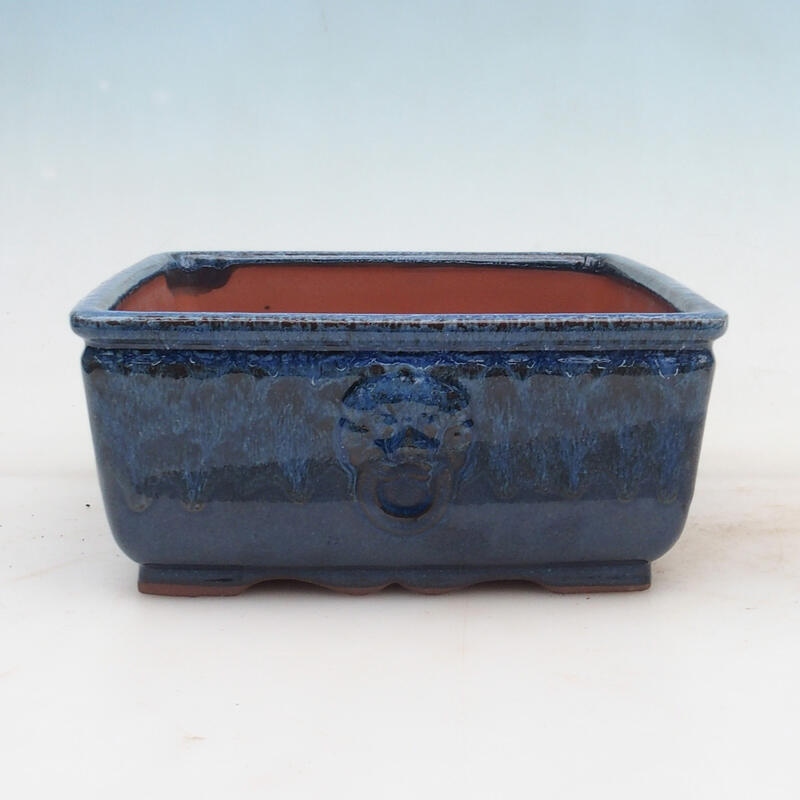 Ciotola bonsai 21 x 21 x 9 cm, colore blu
