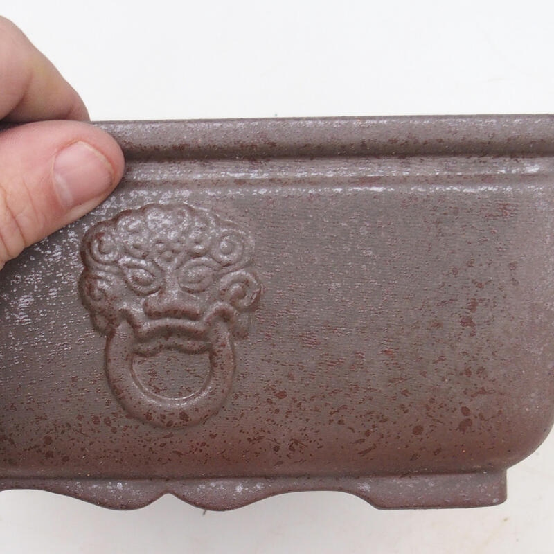 Ciotola bonsai 21 x 21 x 9 cm, colore naturale