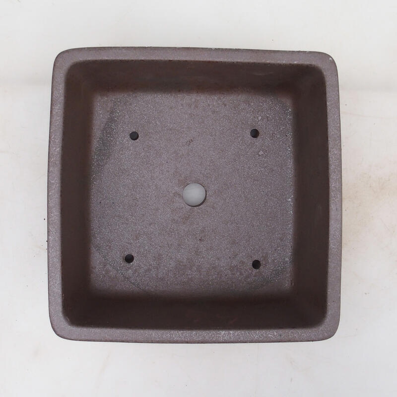 Ciotola bonsai 21 x 21 x 9 cm, colore naturale