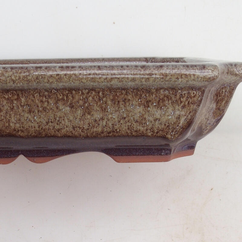Ciotola per bonsai 22 x 16,5 x 4 cm, marrone