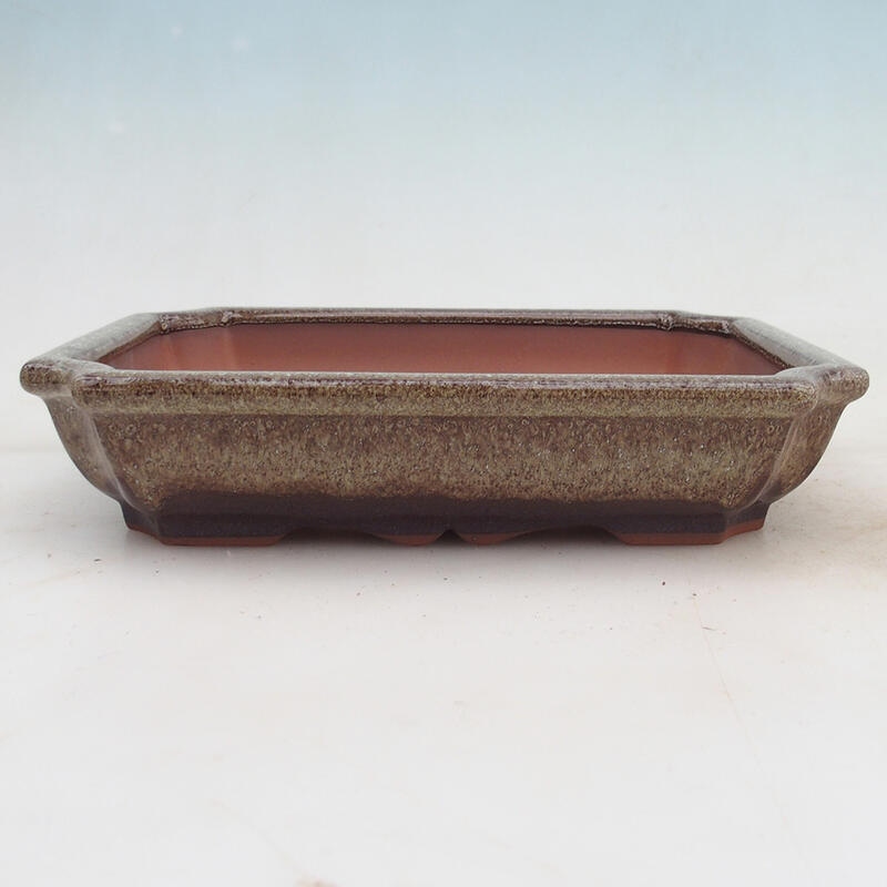 Ciotola per bonsai 22 x 16,5 x 4 cm, marrone
