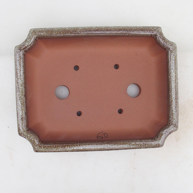 Ciotola per bonsai 22 x 16,5 x 4 cm, marrone