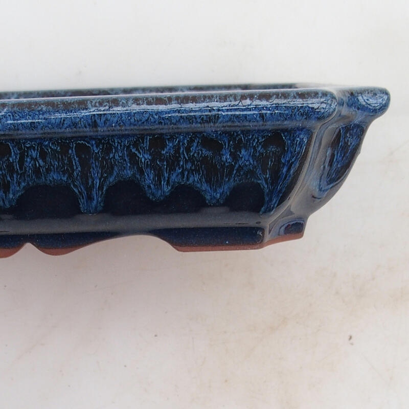 Ciotola per bonsai 22 x 16,5 x 4 cm, colore blu