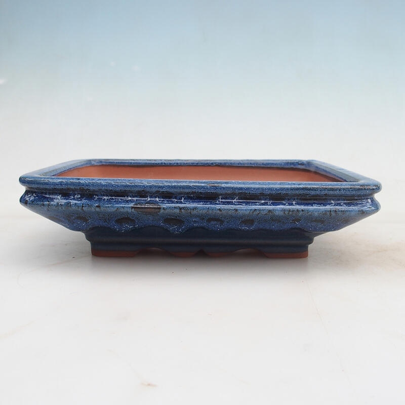 Ciotola bonsai 22 x 17 x 5,5 cm, colore blu