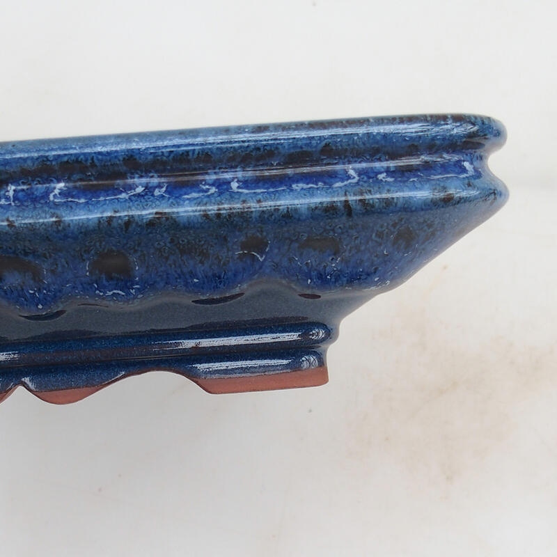 Ciotola bonsai 22 x 17 x 5,5 cm, colore blu