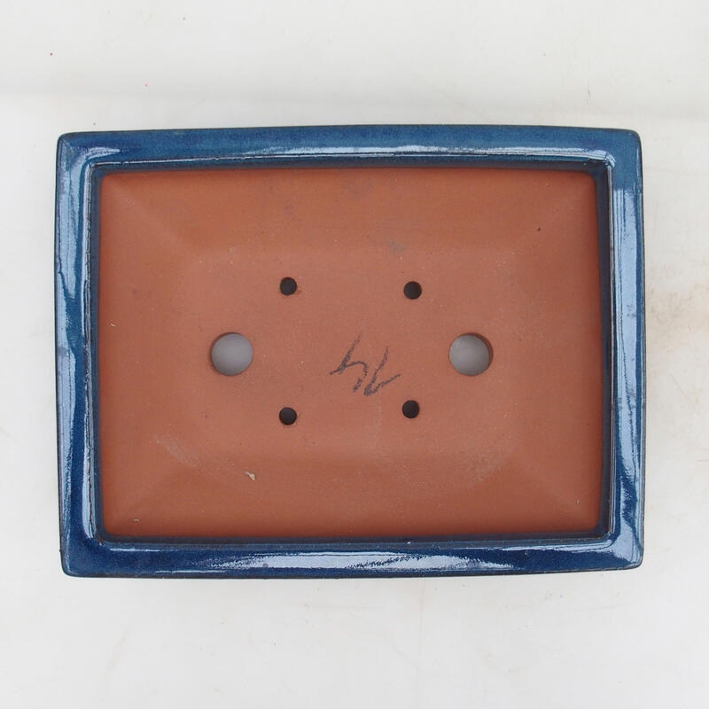 Ciotola bonsai 22 x 17 x 5,5 cm, colore blu