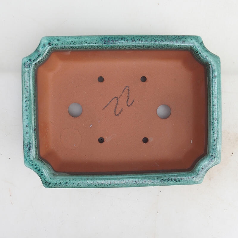 Ciotola bonsai 22 x 17 x 5,5 cm, verde