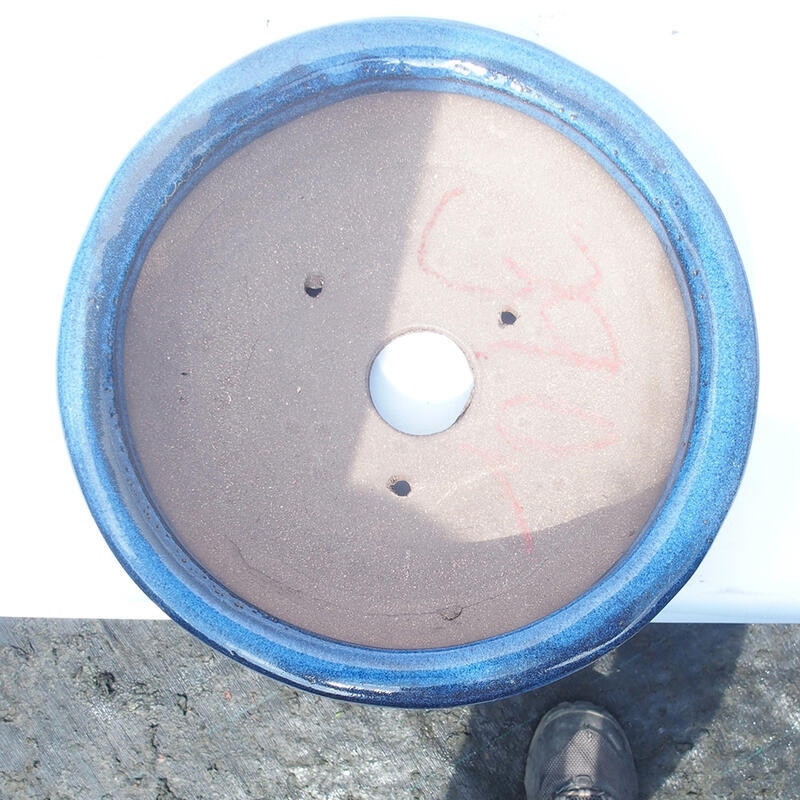 Ciotola bonsai 22 x 22 x 5,5 cm blu