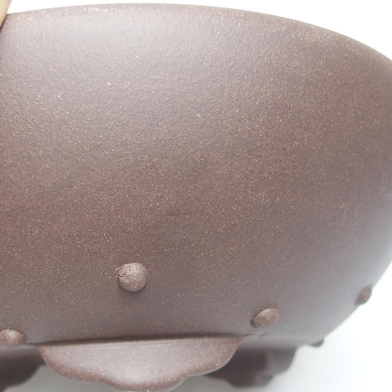 Ciotola per bonsai 22 x 22 x 8 cm, marrone