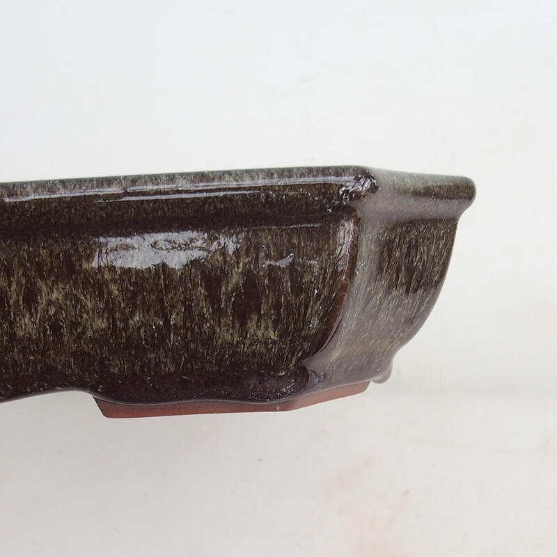 Ciotola per bonsai 23 x 17,5 x 4,5 cm, marrone