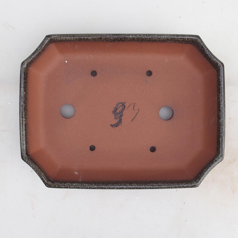 Ciotola per bonsai 23 x 17,5 x 4,5 cm, marrone