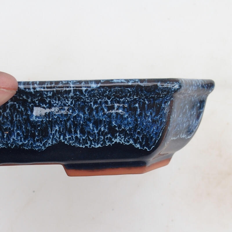 Ciotola bonsai 23 x 17,5 x 4,5 cm, colore blu