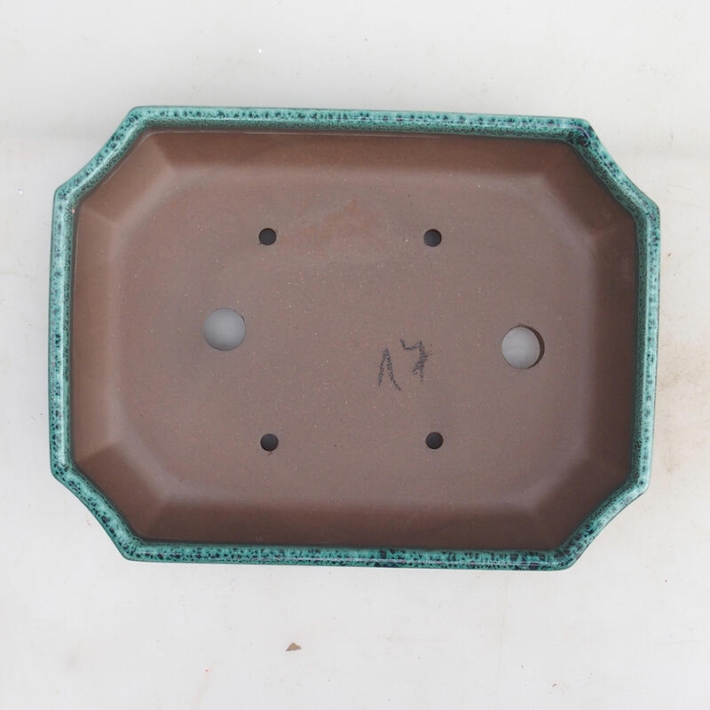 Ciotola bonsai 23 x 17,5 x 4,5 cm, verde