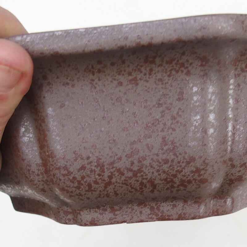 Ciotola bonsai 23 x 23 x 7,5 cm, colore naturale