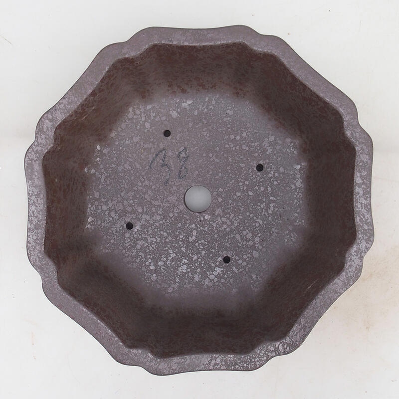 Ciotola bonsai 23 x 23 x 7,5 cm, colore naturale