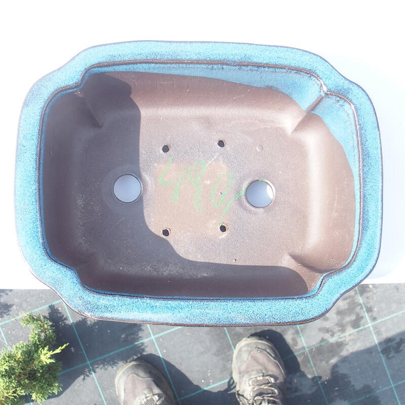 Ciotola bonsai 24 x 18,5 x 8 cm blu