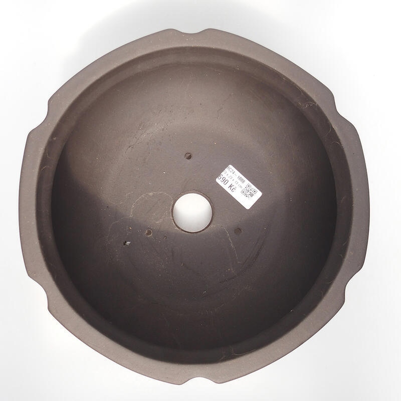 Ciotola per bonsai 24 x 24 x 13,5 cm, marrone