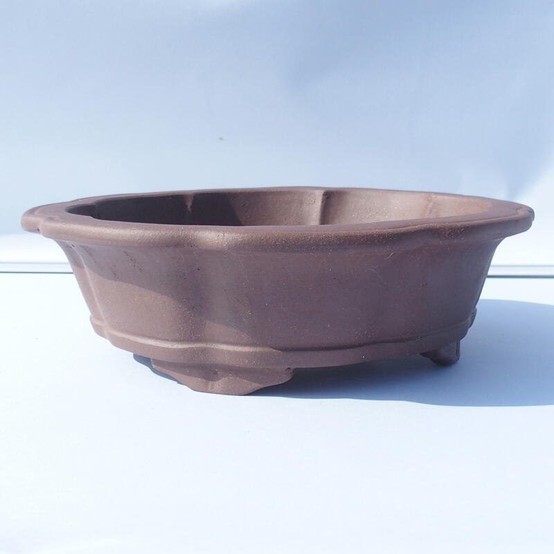 Ciotola bonsai 24 x 24 x 7 cm