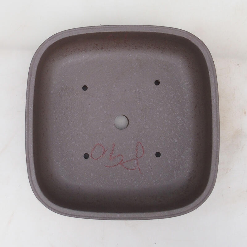 Ciotola bonsai 24 x 24 x 7 cm, colore naturale